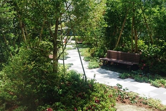 20180718_01.jpg 20180718_01.jpg